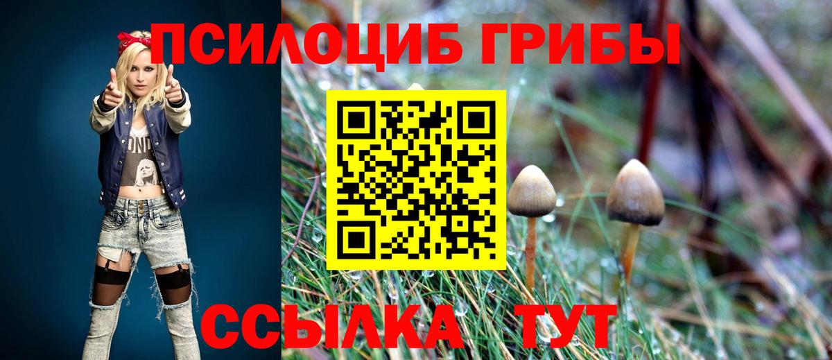 Псилоцибиновые грибы Magic Shrooms  Вход с VPN  где купить   Химки  Псилоцибиновые грибы Cubensis 